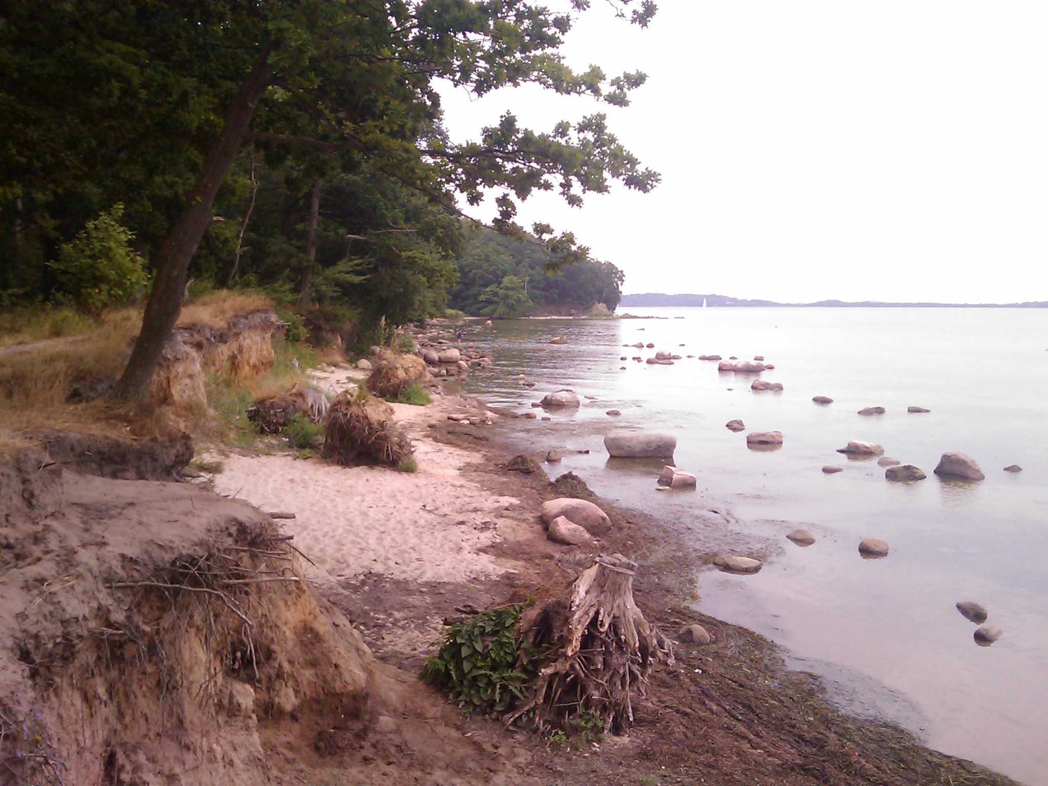 Wege. Rügen per Rad.