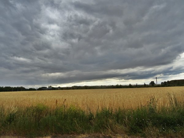 Regen, Landregen immer wieder